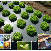 Агроволокно перфороване